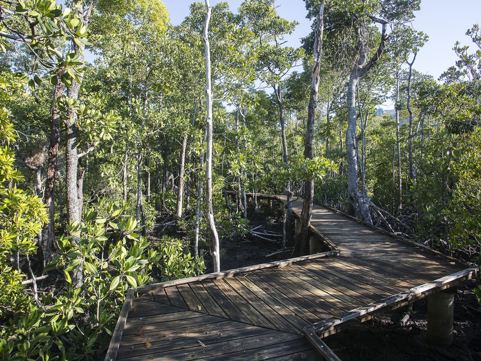 Yuibera Map Mackay Isaac Region - Diversity Boardwalk
