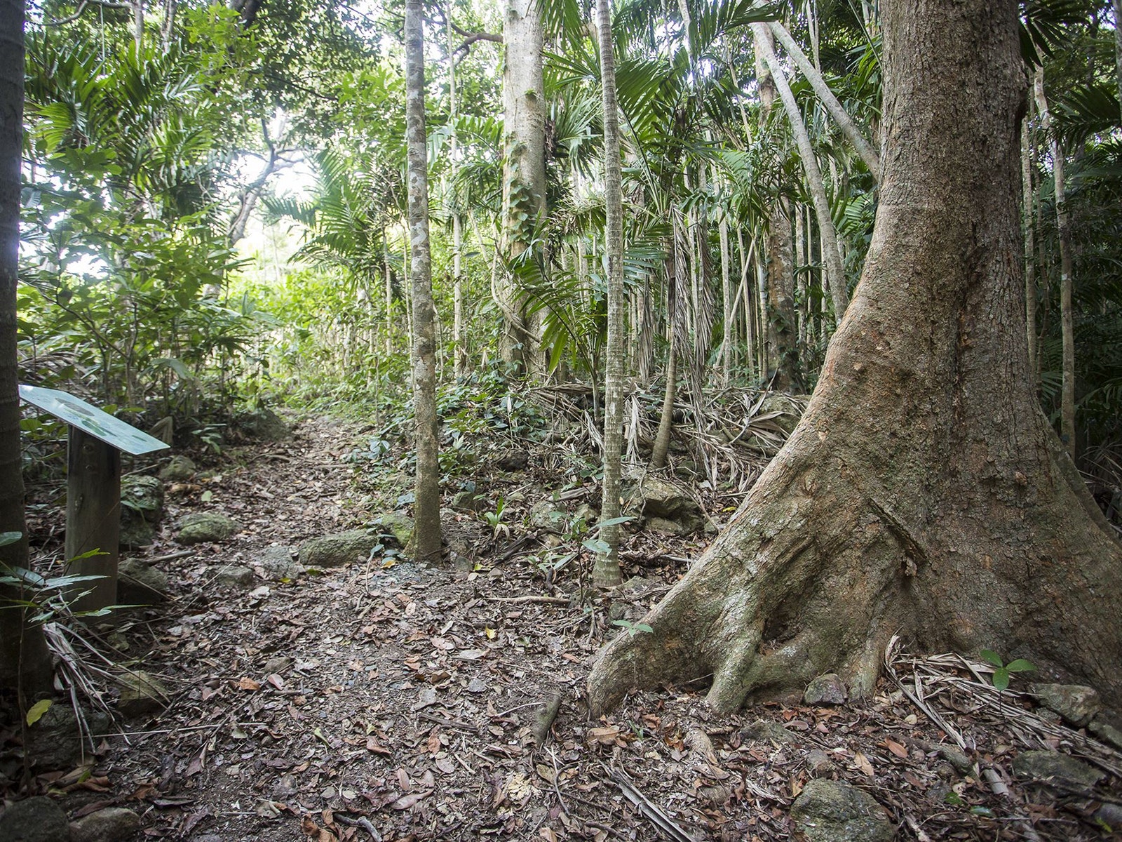 Yuibera Map Mackay Isaac Region - Yuibera Yuwi Trail